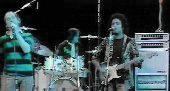 Chapman-Whitney Streetwalkers