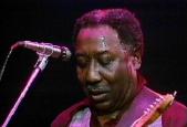 Muddy Waters Bluesband