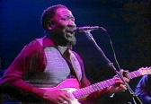 Muddy Waters Bluesband