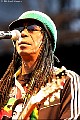 wailers11.jpg