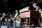 govtmule06.jpg