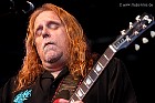 govtmule09.jpg